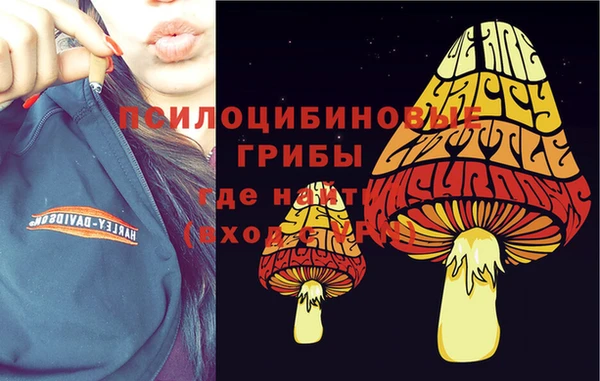 ALPHA PVP Богородицк