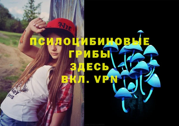 ALPHA PVP Богородск