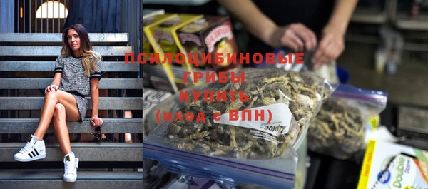 ALPHA PVP Богородск