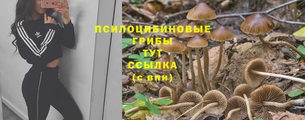 ALPHA-PVP Богданович